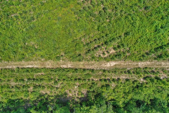 DJI_0441 | Image 52