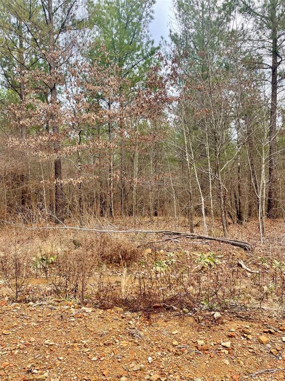 Land in Broken Bow 3