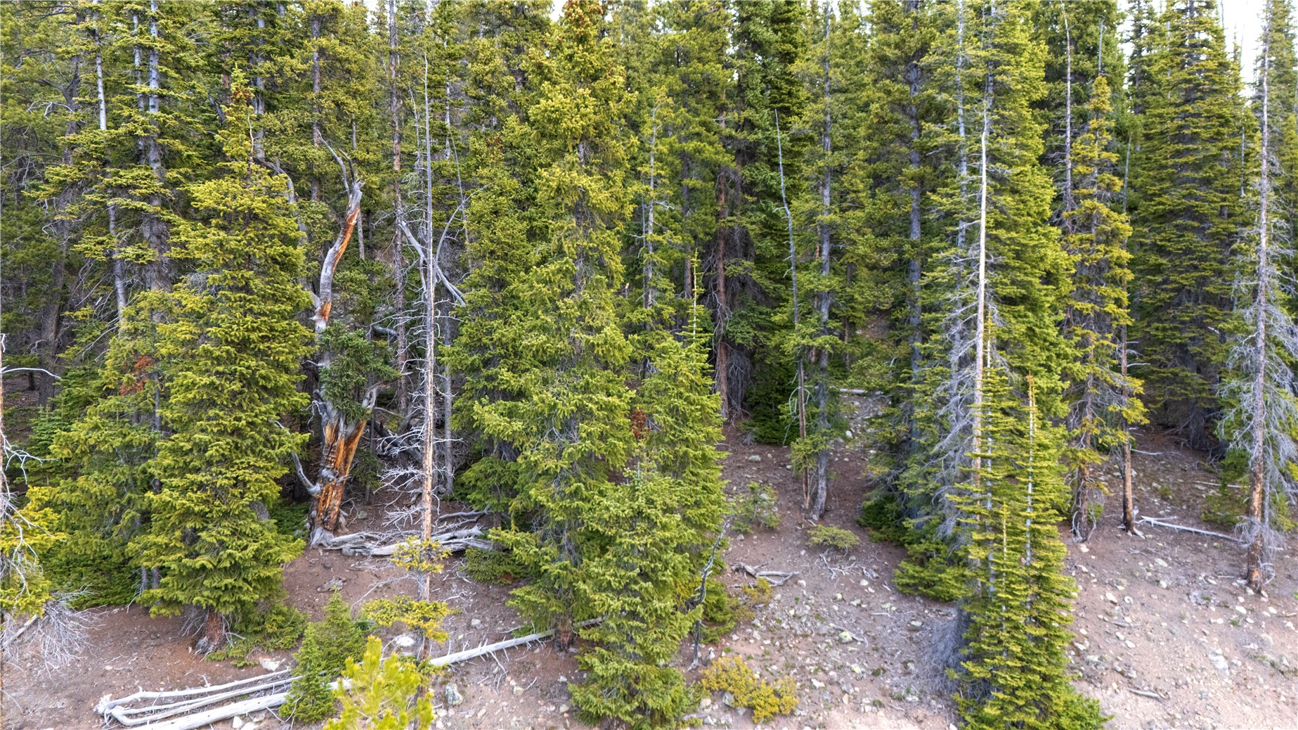 Land in Breckenridge 4