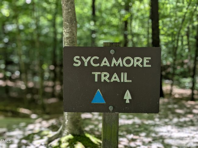 Trail Pic | Image 22