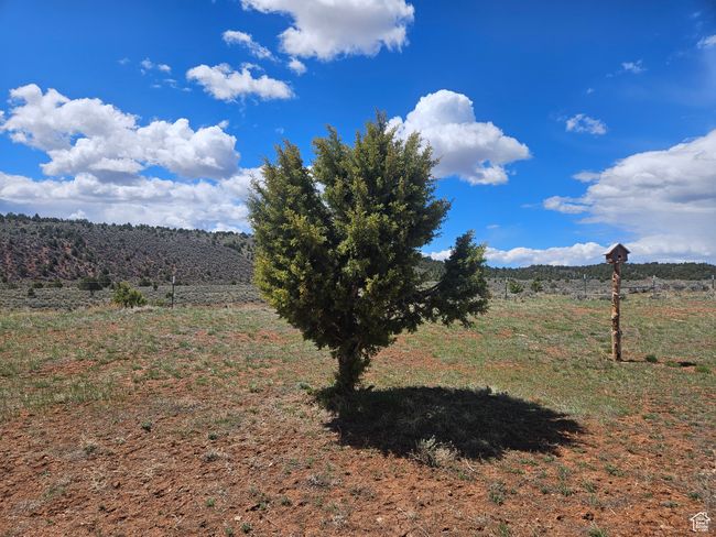 Country Property Views to the back | Image 22