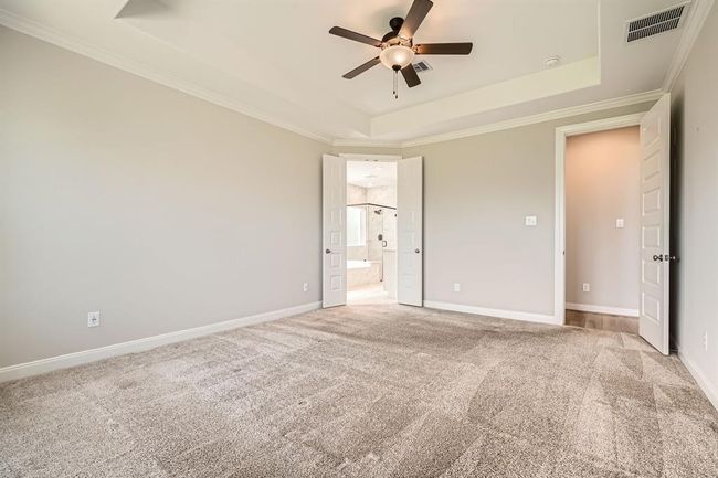 Primary Bedroom | Image 12