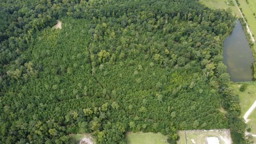 TBD Lonzy Ln, Conway, SC, 29526 | Card Image