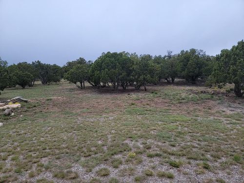 100 Highview Ln, Edgewood, NM, 87015 | Card Image