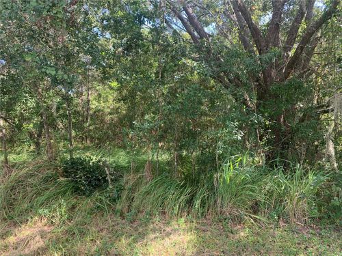 0 Haig St, LAKE WALES, FL, 33898 | Card Image