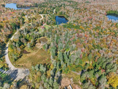 TBD Black Bear Xing, Parksville, NY, 12768 | Card Image