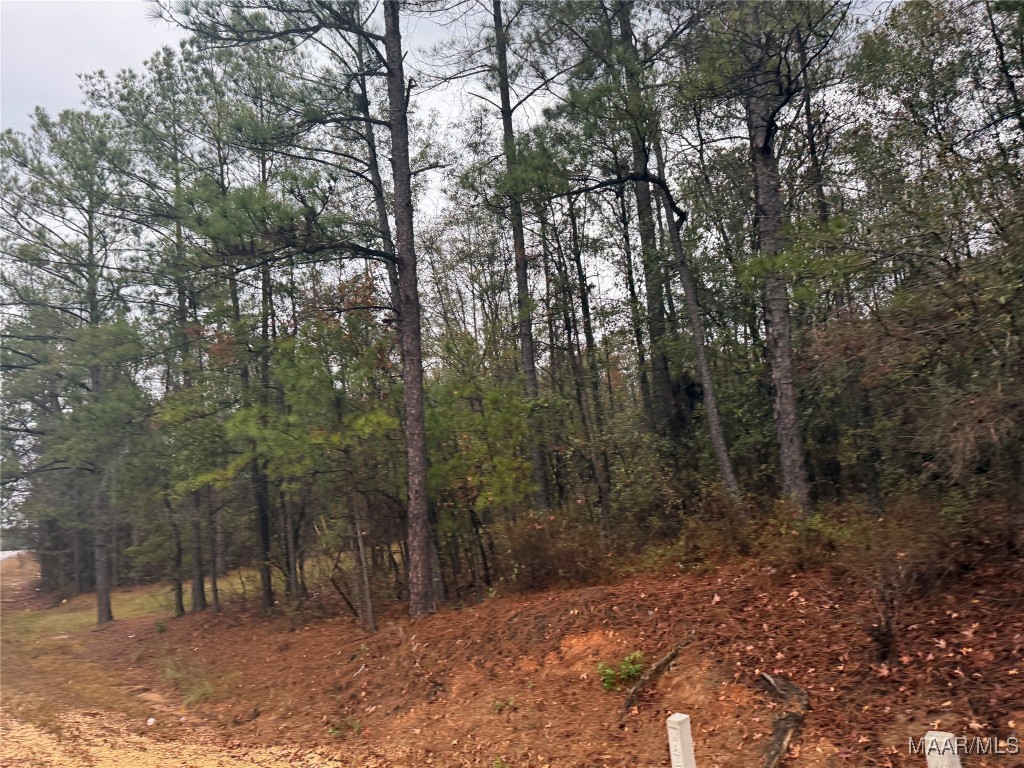Land in Tallassee 3