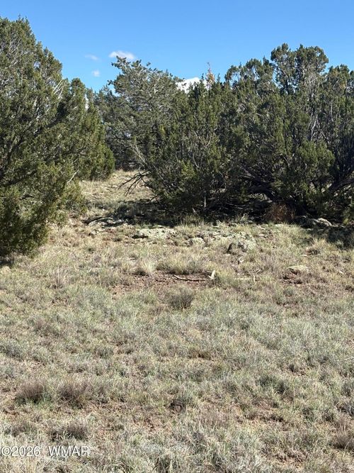 10 Kirkwood Dr, Concho, AZ, 85924 | Card Image