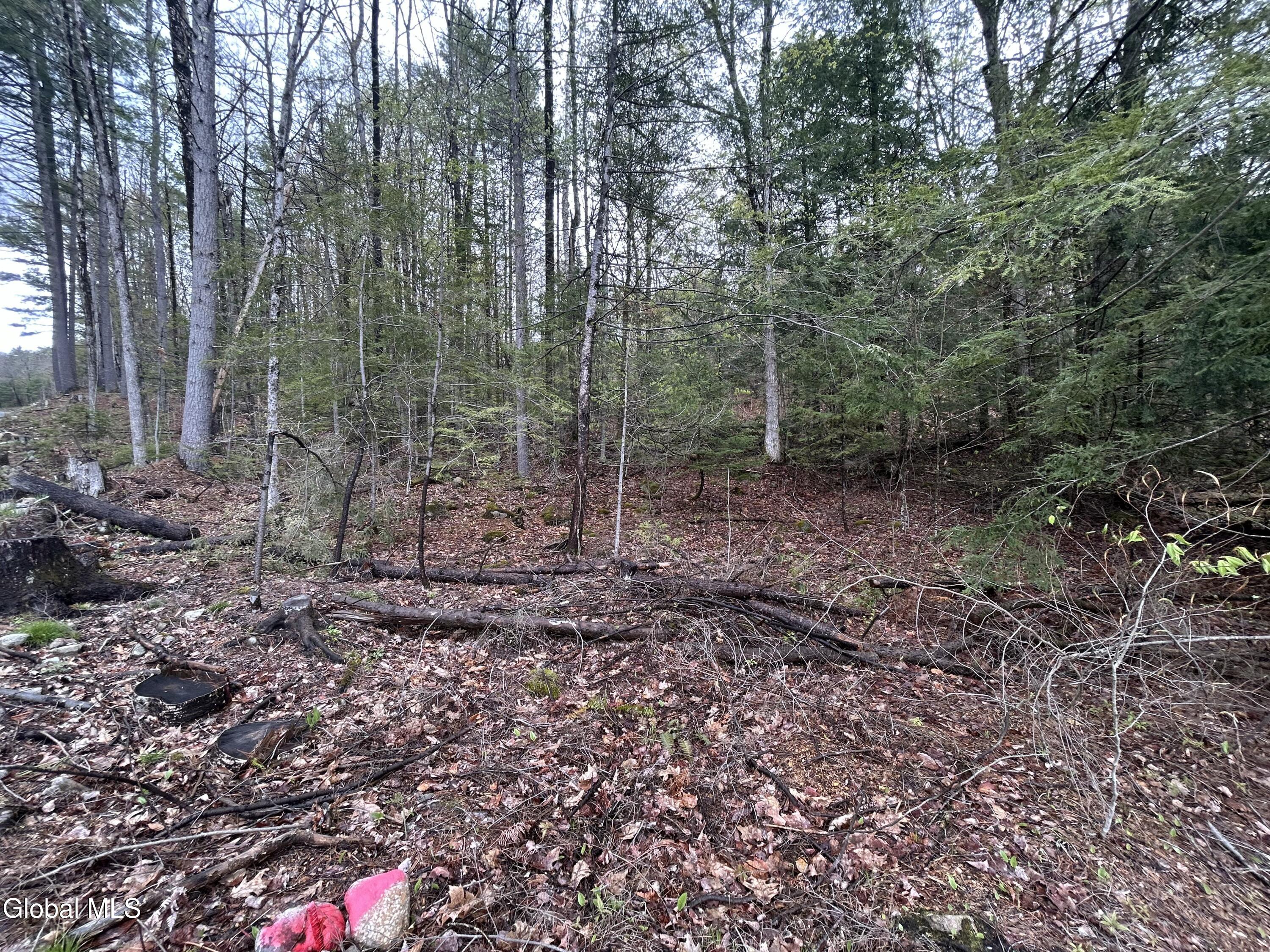 Land in Horicon 5