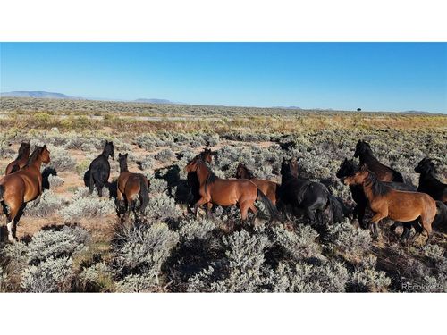 111 Tierra Blanca Ln, San Luis, CO, 81152 | Card Image