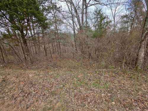 L14 B3 S Summit Ridge Drive, Ozark Acres, AR, 72482 | Card Image