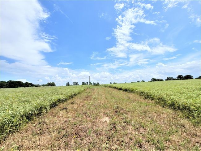 View of nature featuring rural landscape | Image 7