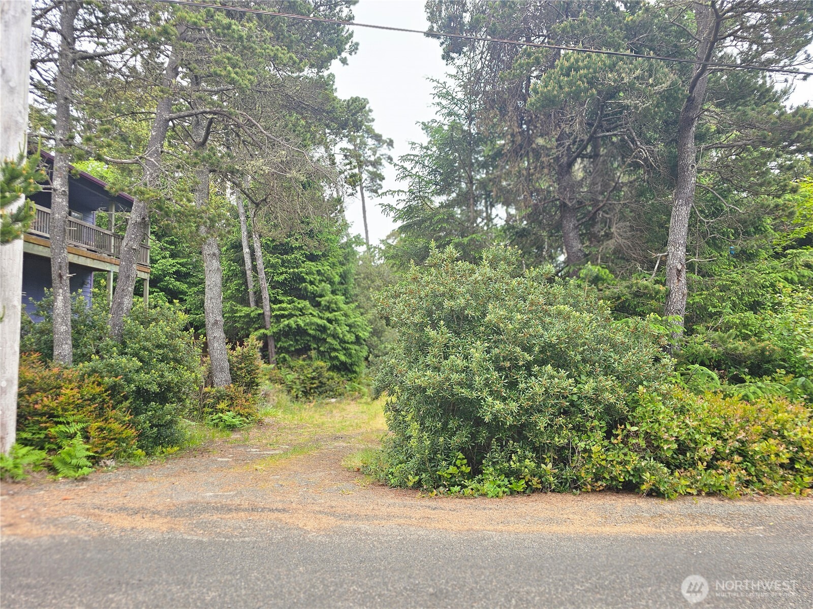 Land in Ocean Park 2