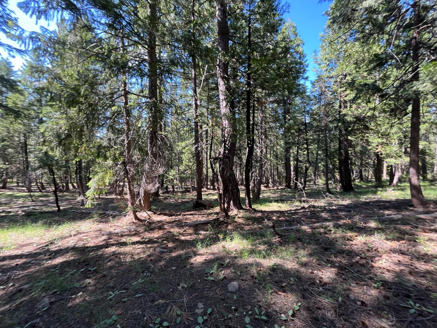 Land in Strawberry Valley 3