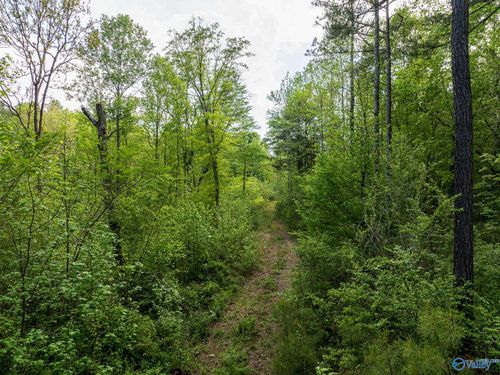 9.60+ ACRES Pleasant Grove Rd, Horton, AL, 35980 | Card Image