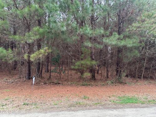 Near 51 Gores Dr, Clarendon, NC, 28432-8709 | Card Image