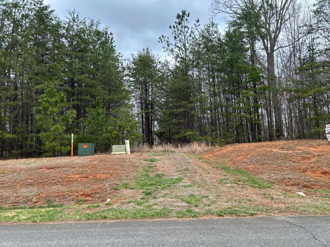 107 Runaway Bay Rd, Home with 0 bedrooms, 0 bathrooms and null parking in Lynch Station VA | Image 6