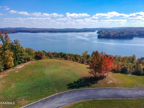 245 River Run Trl, Spring City, TN, 37381 | Card Image