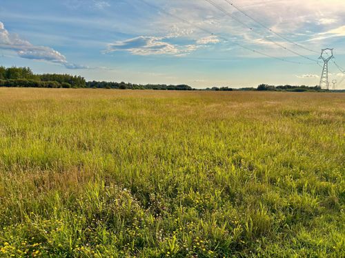 TBD 13th Ave Sw, Baudette, MN, 56623 | Card Image