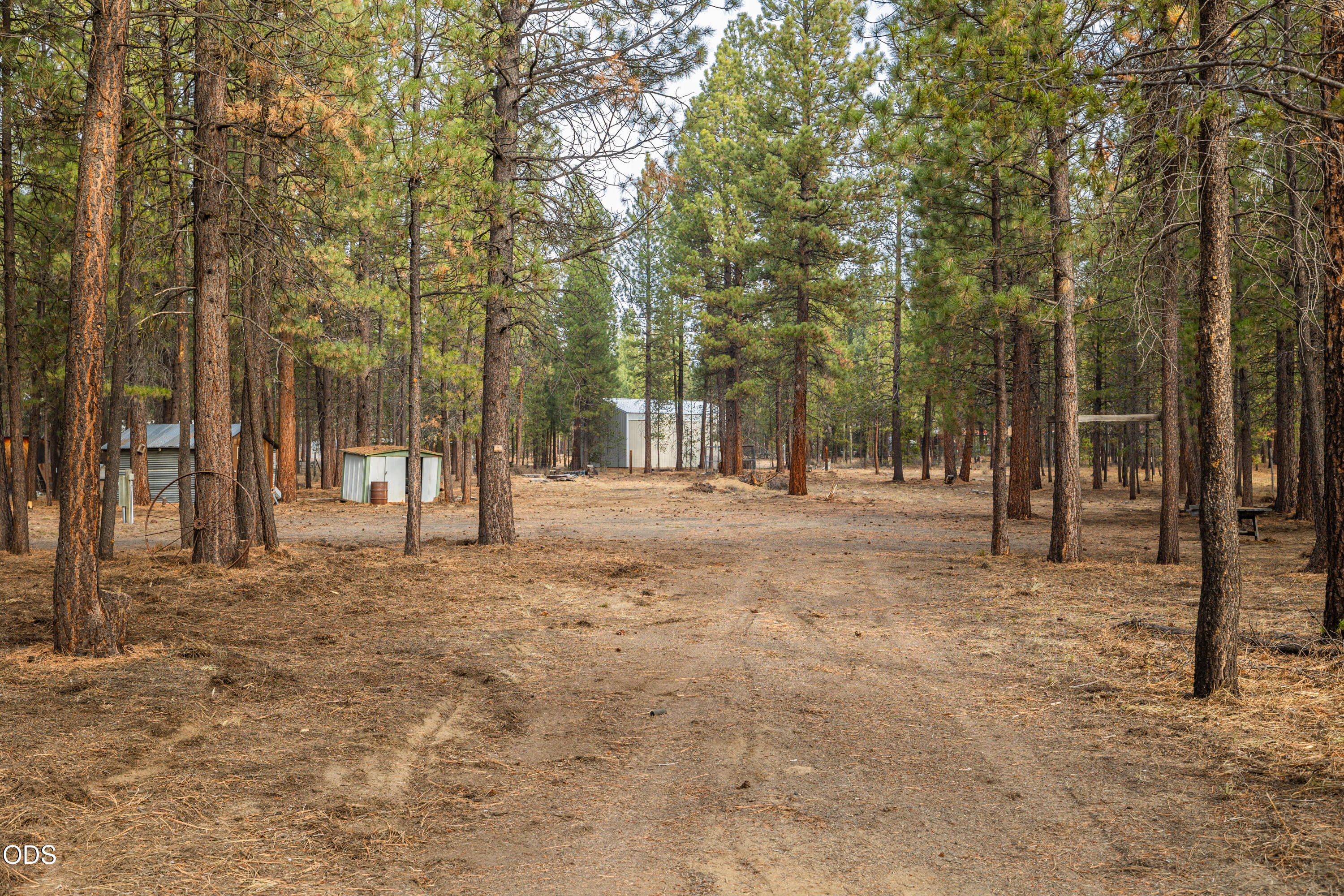 Land in La Pine 3
