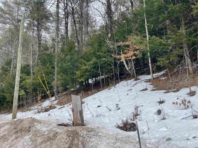Lot 53 Apple Hill Rd, Home with 0 bedrooms, 0 bathrooms and null parking in Sullivan NH | Image 5
