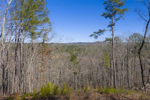 LT 285 Anglers Ridge Road, Talking Rock, GA, 30175 | Card Image