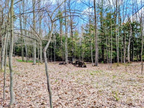 VL W Jagger Road, Ludington, MI, 49431 | Card Image
