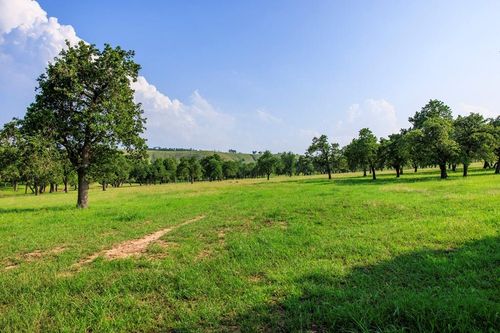 00 Ranch Rd, Fredericksburg, TX, 78624 | Card Image