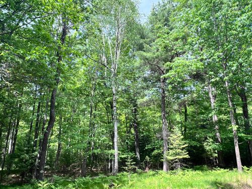 Lot 38 White Pine Dr, Eagle River, WI, 54521 | Card Image