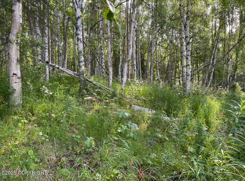 L3 Eight Mile, Skwentna, AK, 99667 | Card Image