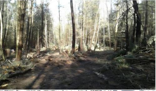 24-12 Parks Rd, Liberty, NY, 12787 | Card Image