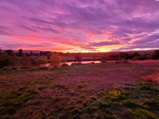 70212 N Demoss Rd., Home with 0 bedrooms, 0 bathrooms and null parking in Benton City WA | Image 13