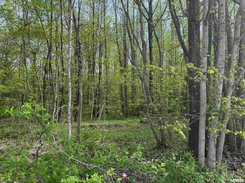 000 Sterling St, Benton, IL, 62812 | Card Image