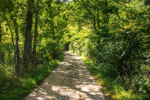 667 Pierce Rd, Plainwell, MI, 49080-9553 | Card Image