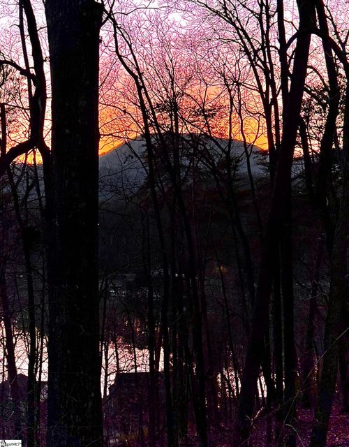 6 Glenolden Dr, LANDRUM, SC, 29356-9341 | Card Image