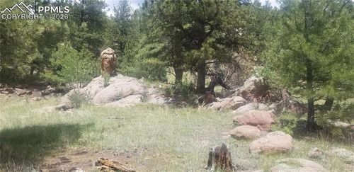 61 Canyon Dr, Florissant, CO, 80816 | Card Image