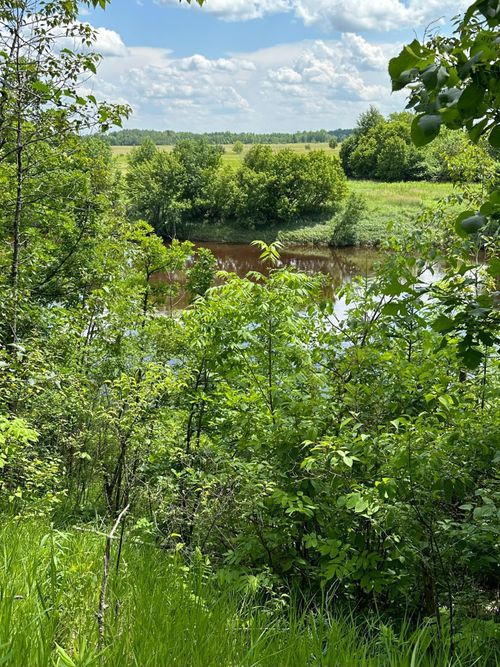 TBD Riverview Acres Road, Littlefork, MN, 56653 | Card Image