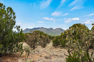 84 Silver Spur Trail, House other with 3 bedrooms, 2 bathrooms and 10 parking in Cerrillos NM | Image 3