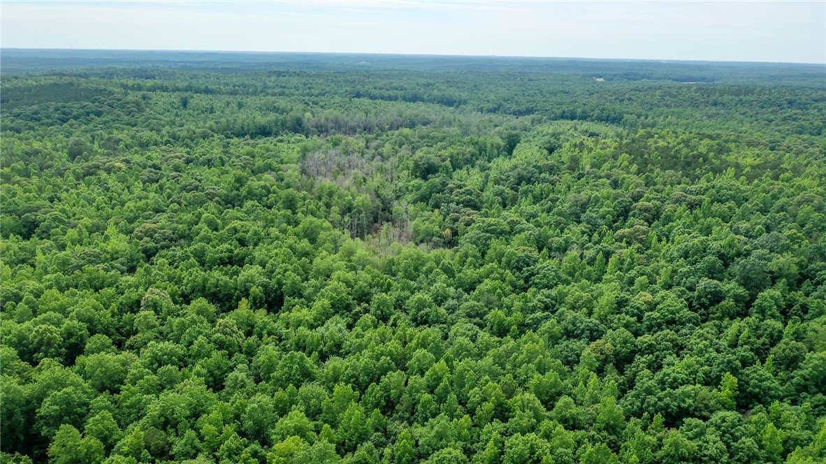 Land in Waverly 2