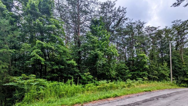 32 Lakeview Dr, Home with 0 bedrooms, 0 bathrooms and null parking in Turtletown TN | Image 5