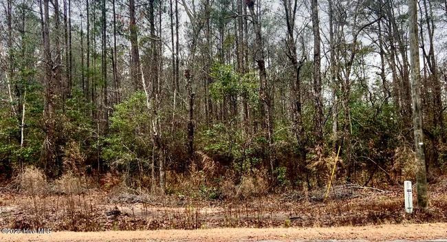 4 Near Keith Rd & Canetuck Rd Road, Home with 0 bedrooms, 0 bathrooms and null parking in Atkinson NC | Image 4