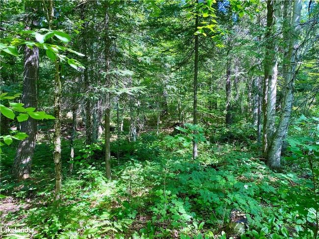 0 Concession 10 And 11 Road, Home with 0 bedrooms, 0 bathrooms and null parking in Parry Sound, Unorganized, Centre Part ON | Image 10