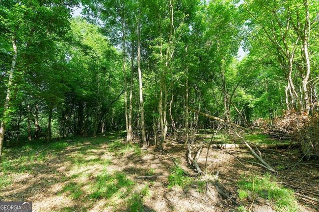 6053 Sun Hill Grange Rd, Home with 0 bedrooms, 0 bathrooms and null parking in Davisboro GA | Image 25