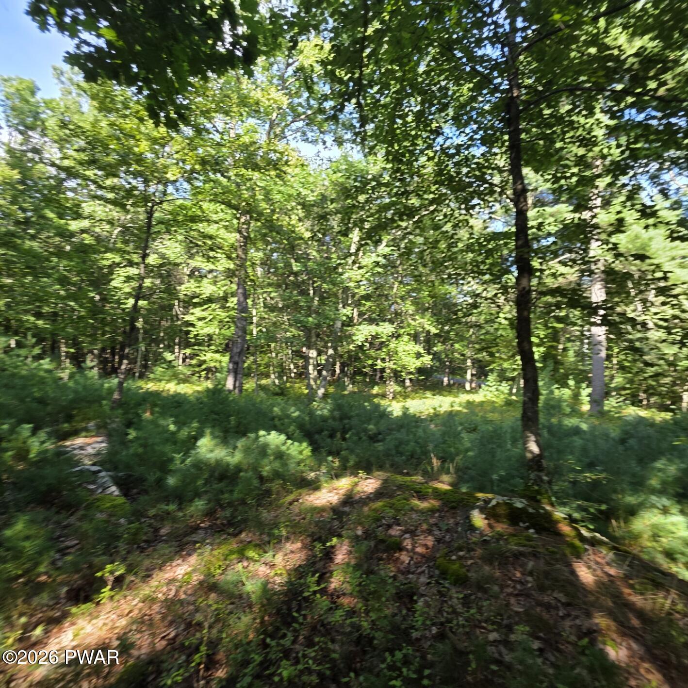 Land in Dingmans Ferry 3