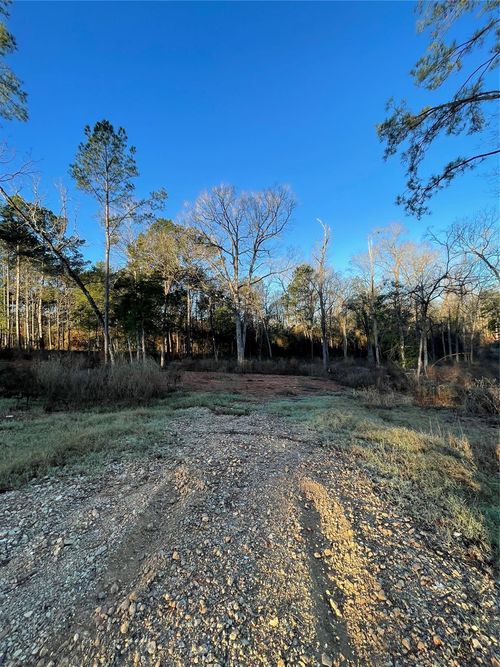 11351 Annie Creek Drive, Willis, TX, 77378 | Card Image