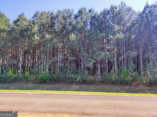 0 Northern County Line Road, Unadilla, GA, 31091 | Card Image