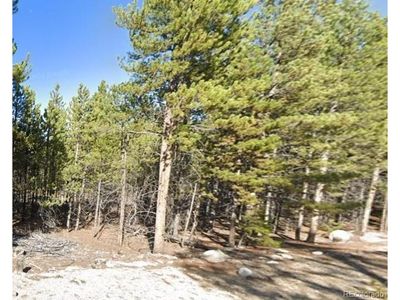 455 Lodgepole Dr, Home with 0 bedrooms, 0 bathrooms and null parking in Leadville CO | Image 1