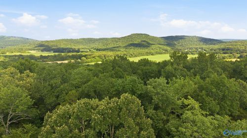 11550 County Road 8, Woodville, AL, 35776 | Card Image