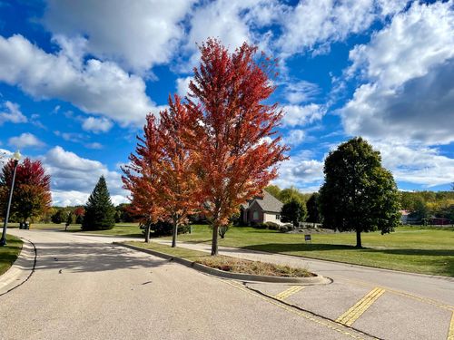 2003 Red Oak Ln, Spring Grove, IL, 60081-7910 | Card Image