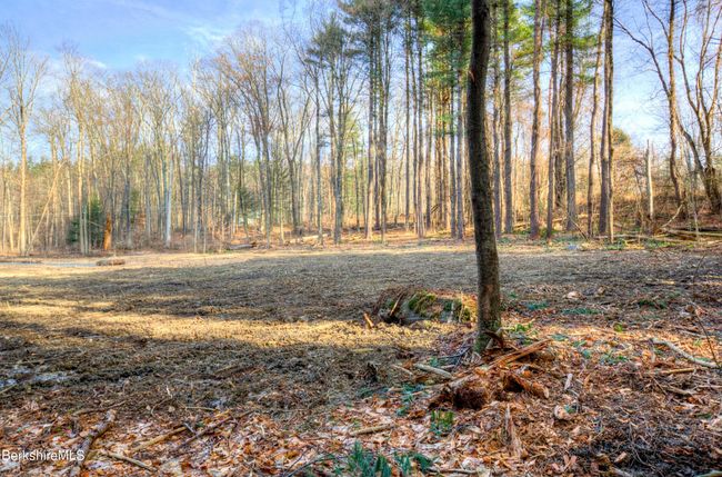 13 Rattlesnake Mtn Rd, Home with 0 bedrooms, 0 bathrooms and null parking in Stockbridge MA | Image 10
